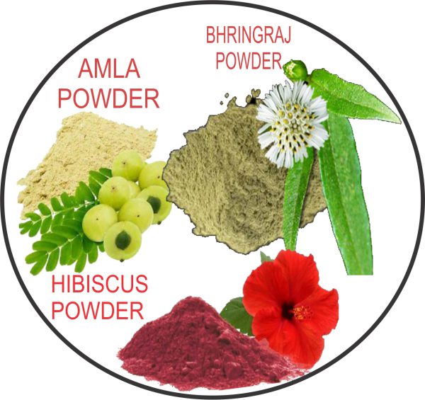 Combo of Amla Hibiscus Bhiringraj | 100g each | 300g - Image 2