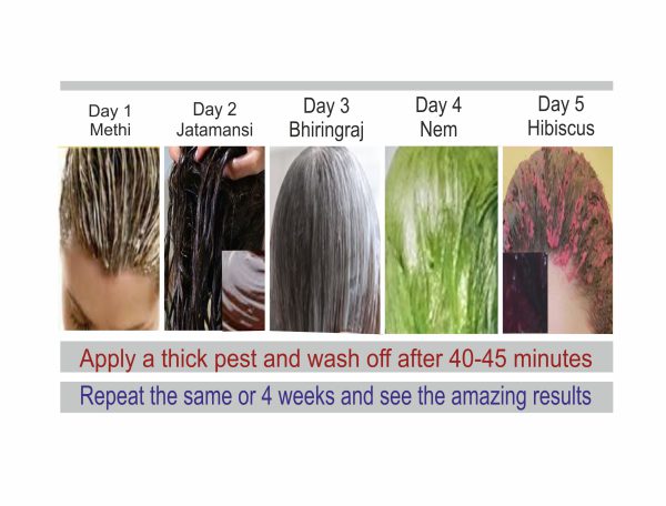 5 Days 5 Packs For Hair & Scalp| 100g each| Net 500g| 6-8 applications - Image 5